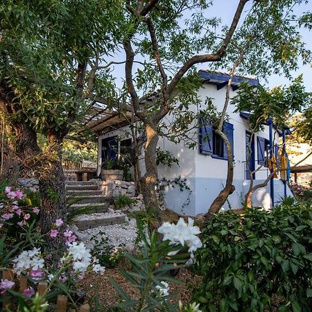 Les Maisons De Pecheurs Сет Экстерьер фото